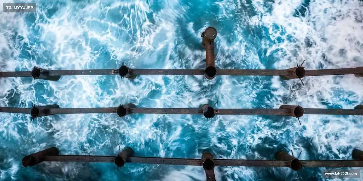 im电竞🏊♀️潜入深蓝,攀登高峰,你的极限,由你打破 —— 体育,是对自己的终极挑战!